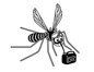 Mosquito-small.jpg